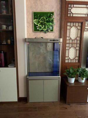 Aquatic Garden System 40*80cm