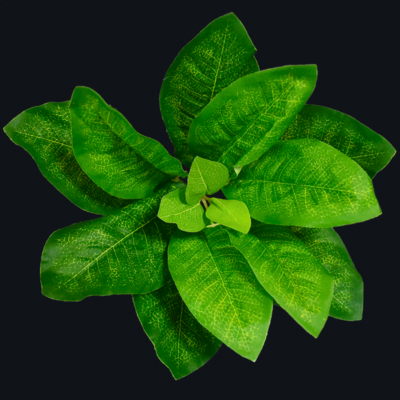 Artificial Plants A-F056