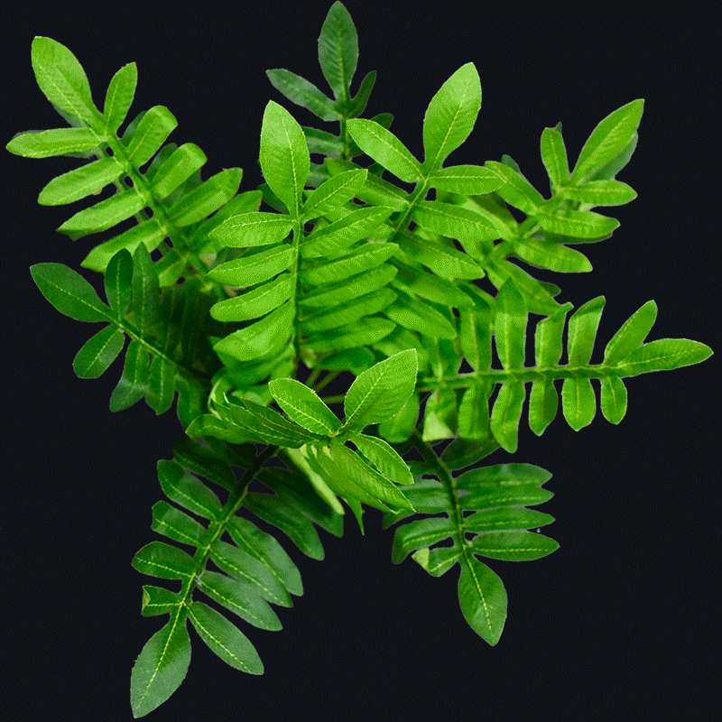 Artificial Plants A-F058
