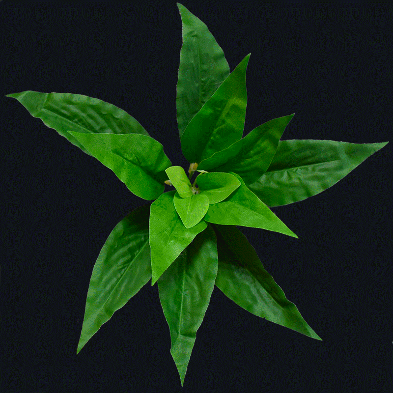 Artificial magnolia leaves-Green A-F059
