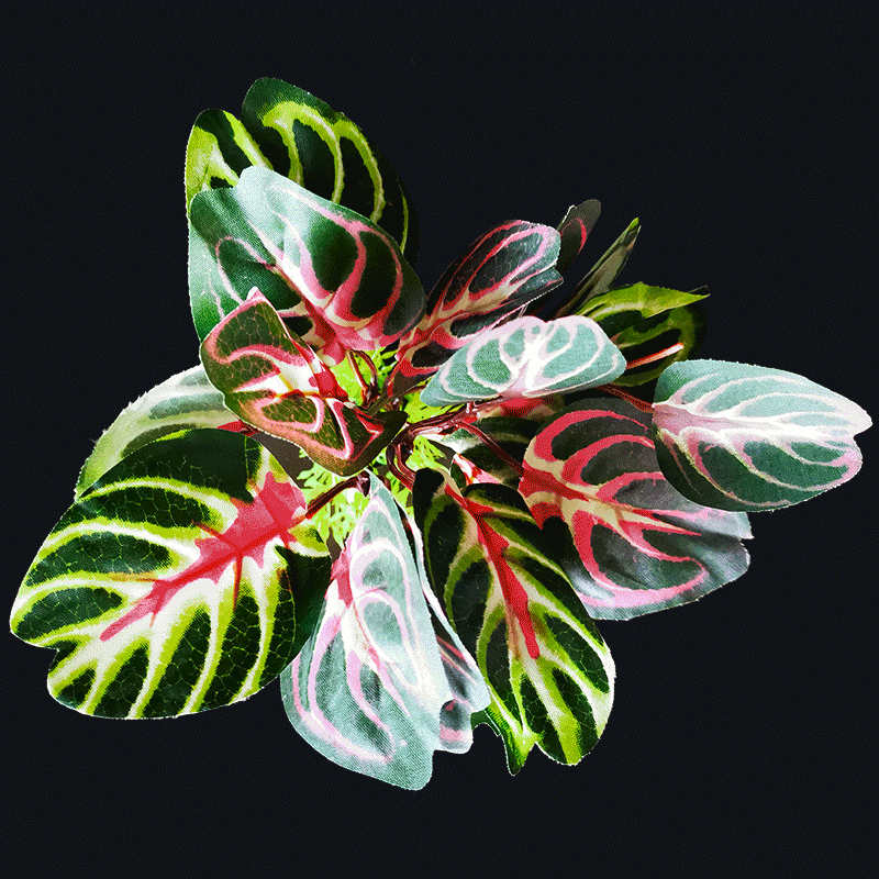 Artificial Plants AS-F2008