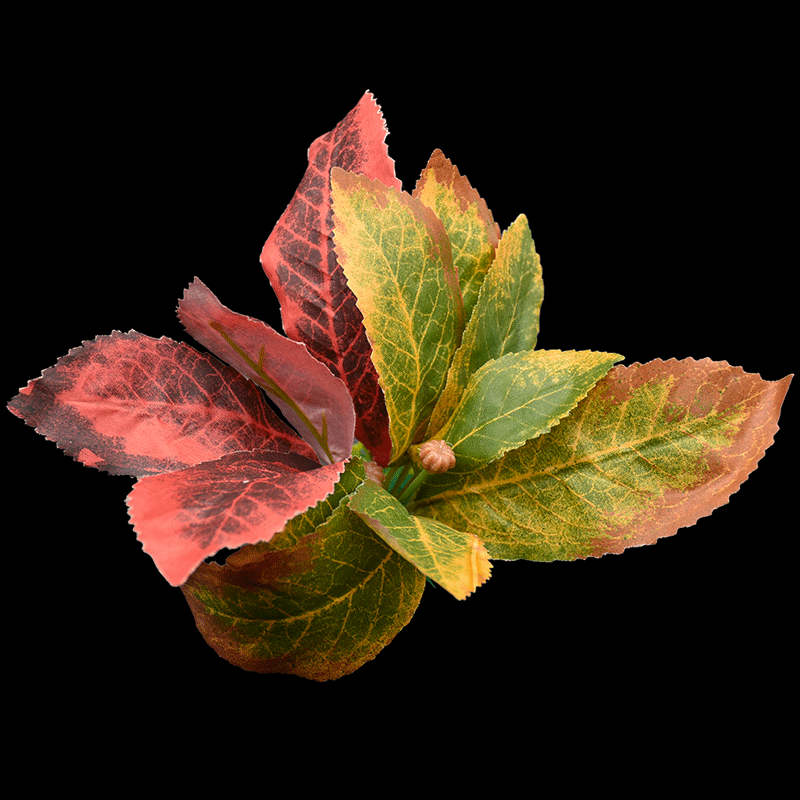 Mixed plants AS-F2040