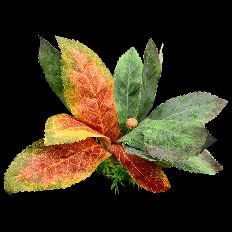 Mixed plants AS-F2041