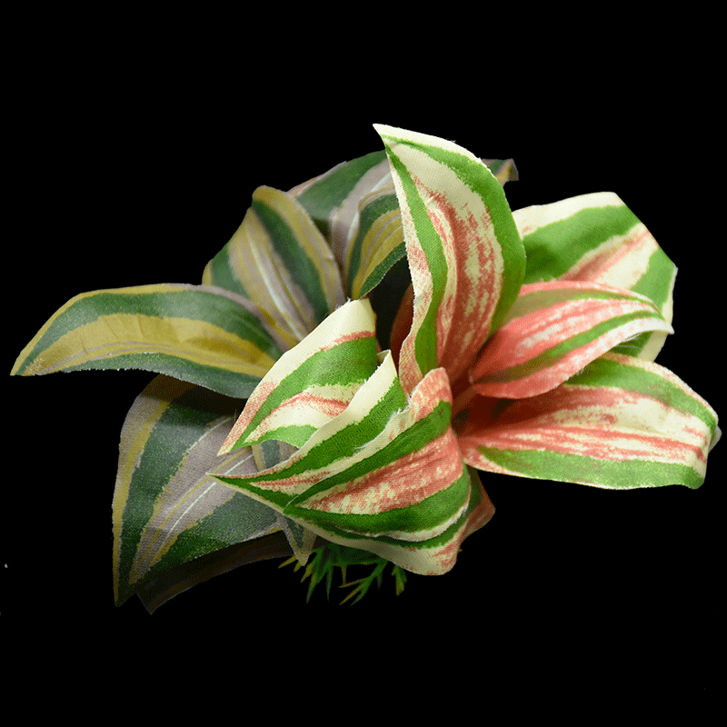 Mixed plants AS-F2042