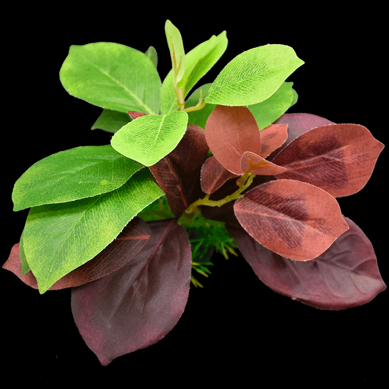 Mixed plants AS-F2043