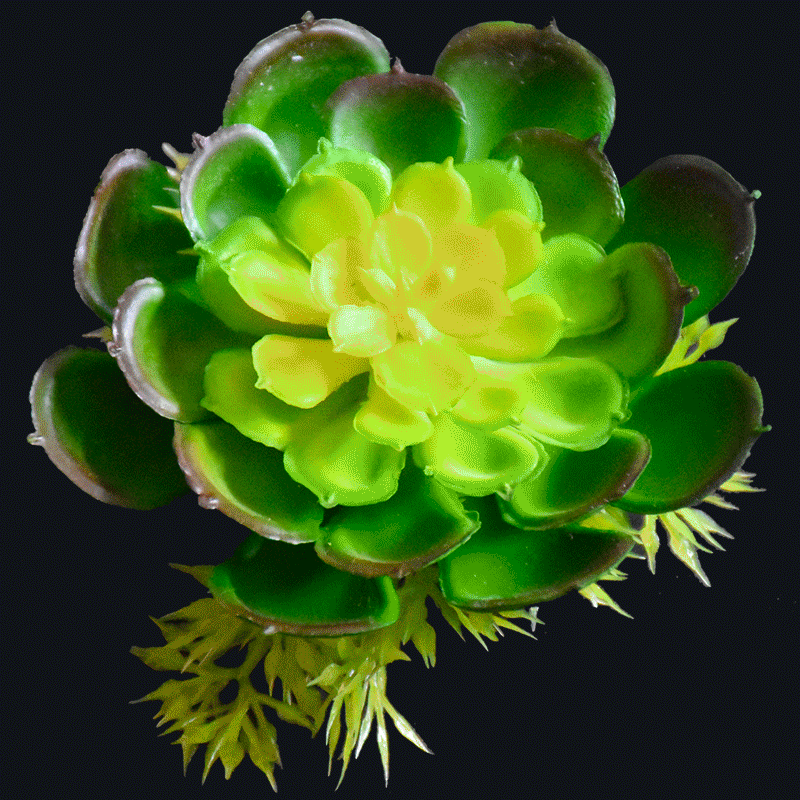 Artificial succulent AS-S040Y