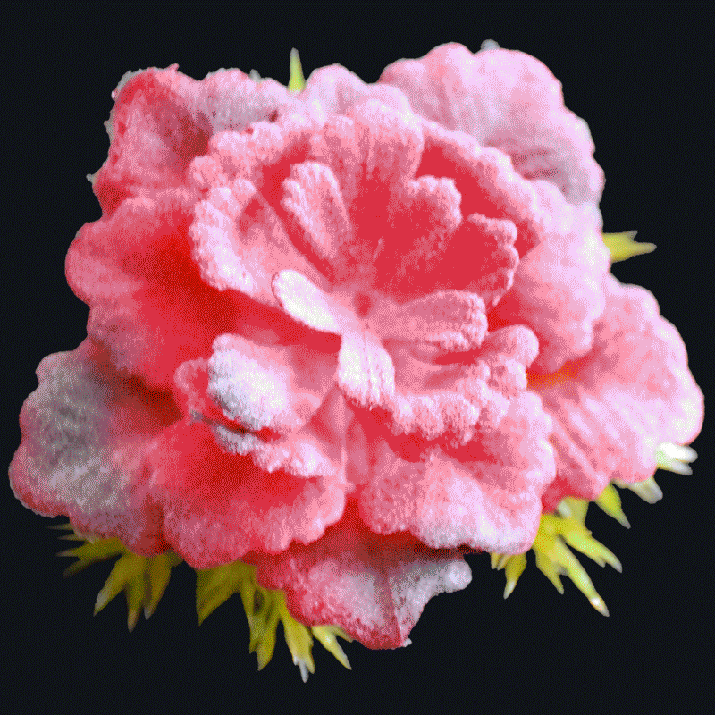 Artificial Succulents AS-S041R