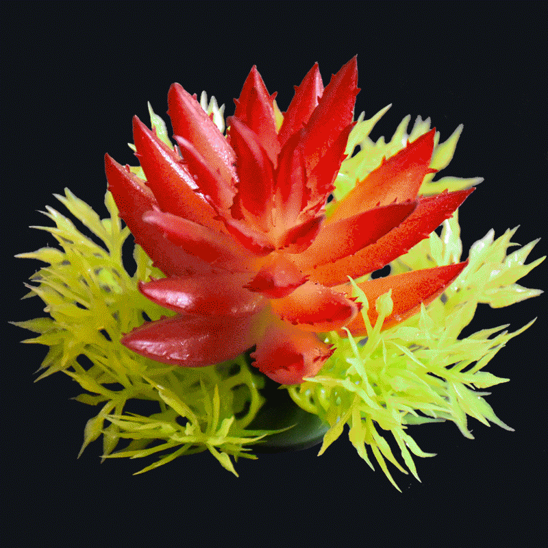 Artificial succulent mini aloe-Red AS-S043R
