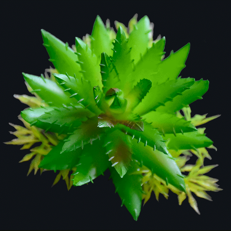 Fake pineapple succulent pick-Green AS-S045G