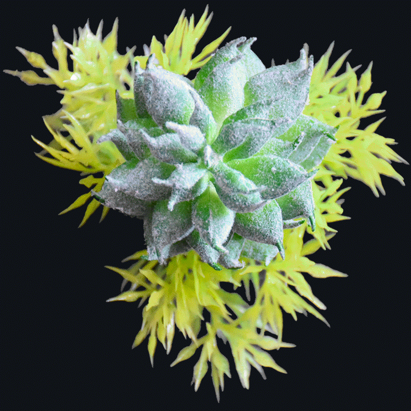 Real touch frost succulent pick-Green AS-S047G