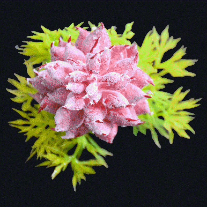 Real touch frost succulent pick-Purple AS-S047PP