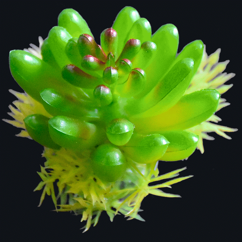 Artificial Succulents AS-S048G