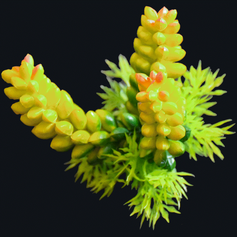 Artificial Succulents AS-S058