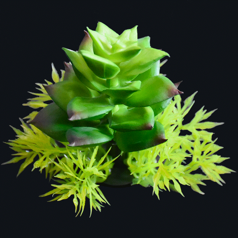 Artificial Succulents AS-S066