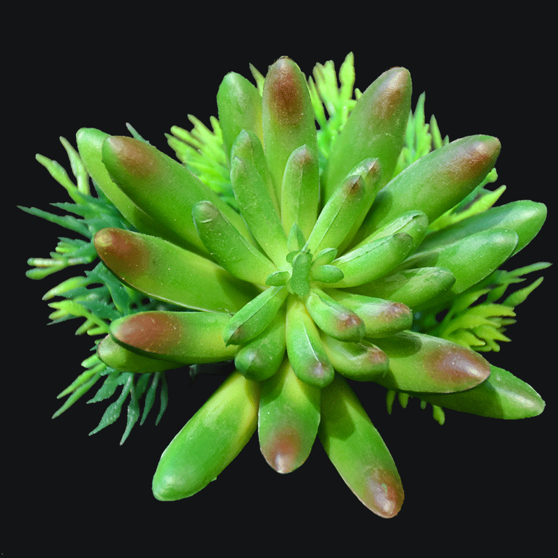 Artificial spike aeonium succulent pick in Green AS-S007G