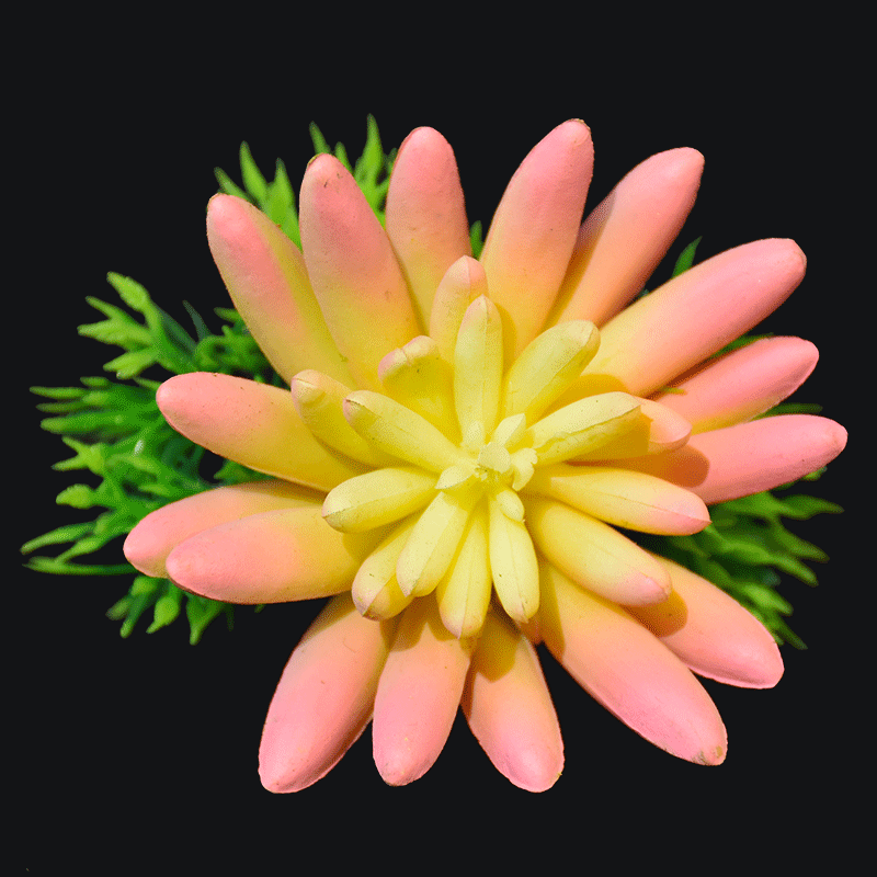 Artificial spike aeonium succulent pick in Pink AS-S007P