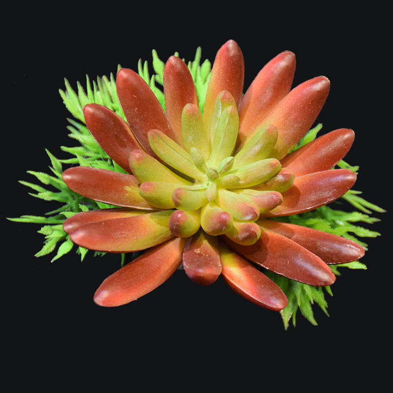 Artificial spike aeonium succulent pick in Red AS-S007R